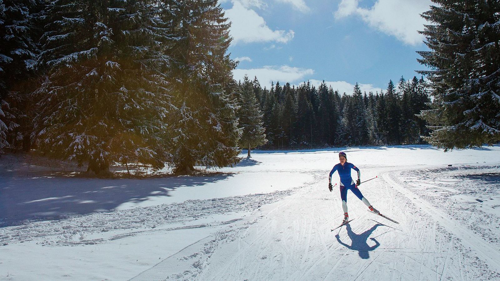 Ski de fond